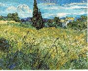 Vincent Van Gogh Green Wheat Field with Cypress France oil painting artist